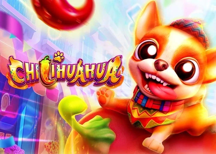 chilihuahua