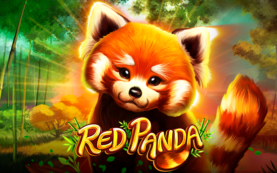 red-panda